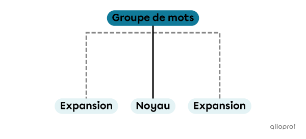 La construction d’un groupe de mots formé d’un noyau et de deux expansions.